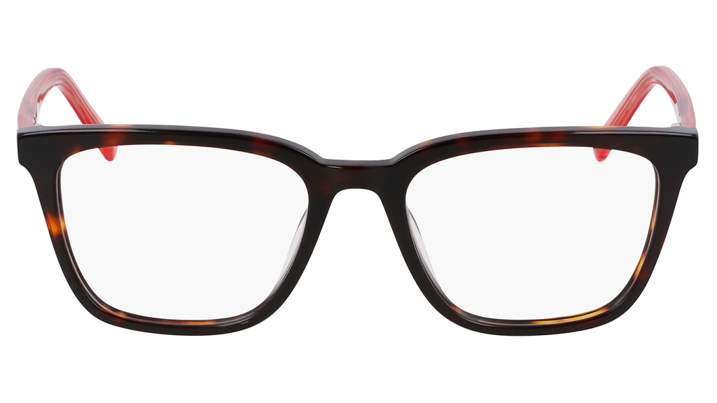 DK 5060 237 DKNY Glasses